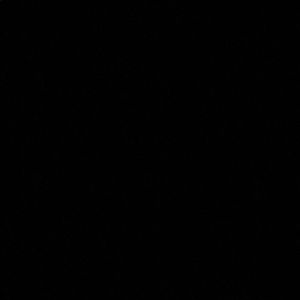 Meet your Posher, Rayana